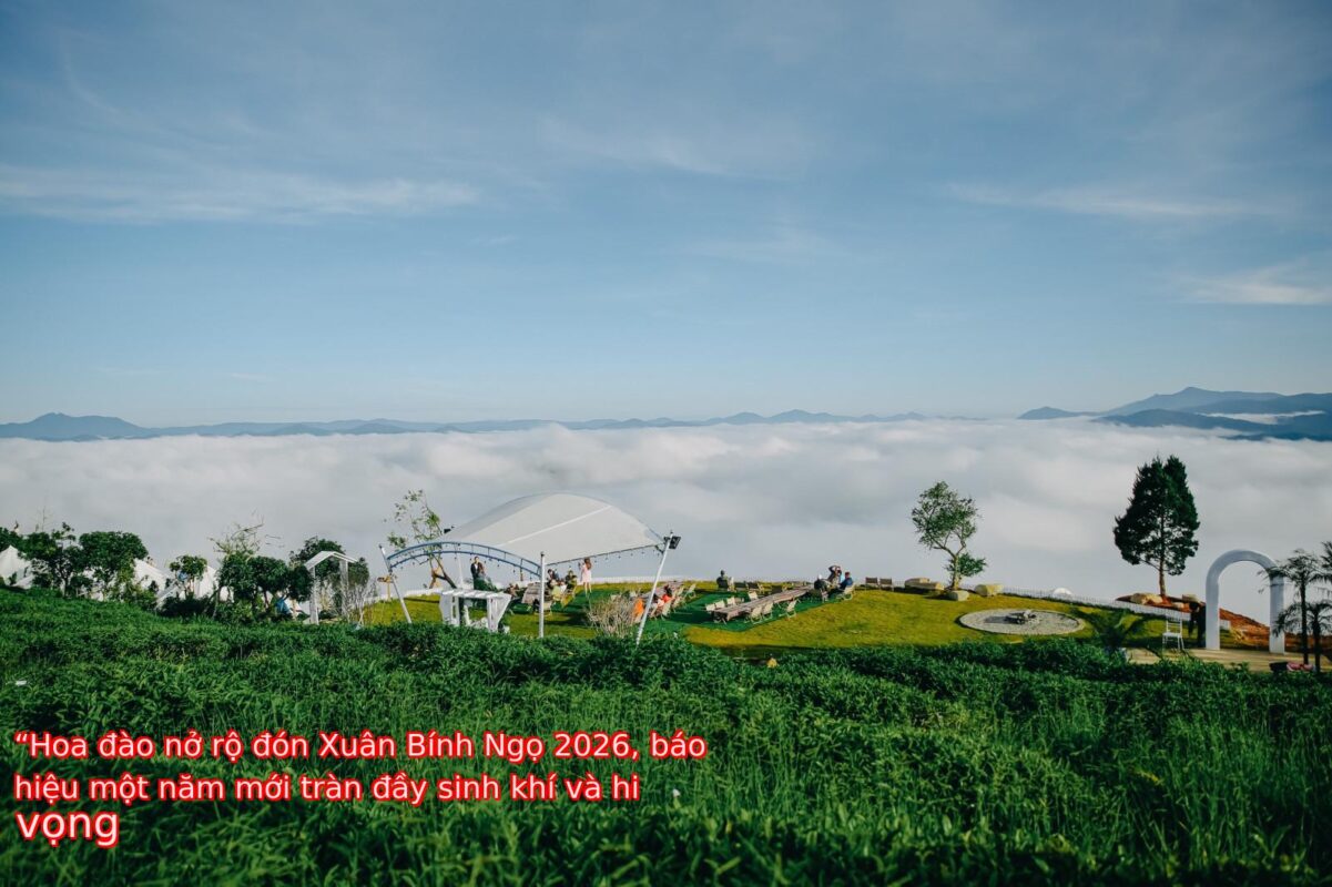 “Hoa đào nở rộ đón Xuân Bính Ngọ 2026, báo hiệu một năm mới tràn đầy sinh khí và hi vọng