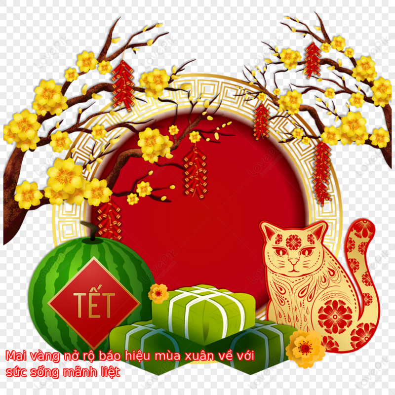 Mai vàng nở rộ báo hiệu mùa xuân về với sức sống mãnh liệt