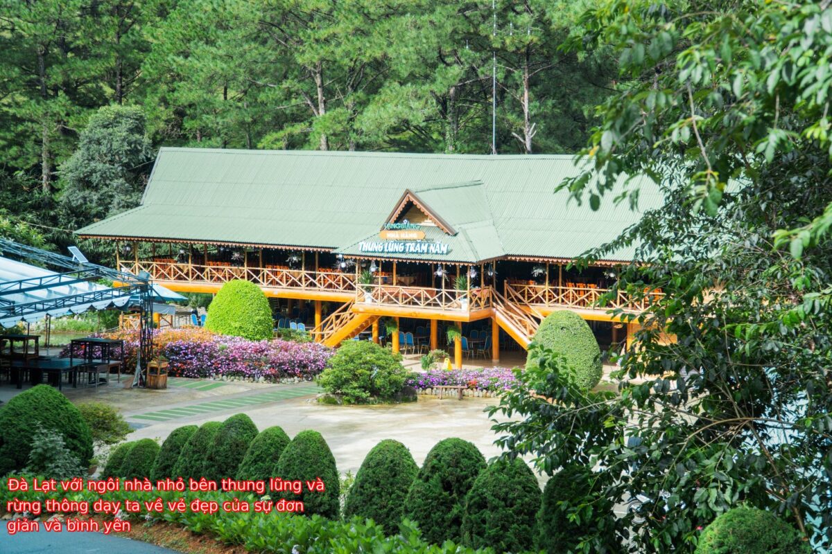 Đà Lạt với ngôi nhà nhỏ bên thung lũng và rừng thông dạy ta về vẻ đẹp của sự đơn giản và bình yên