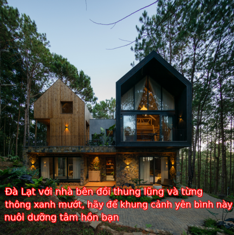Đà Lạt với nhà bên đồi thung lũng và từng thông xanh mướt, hãy để khung cảnh yên bình này nuôi dưỡng tâm hồn bạn