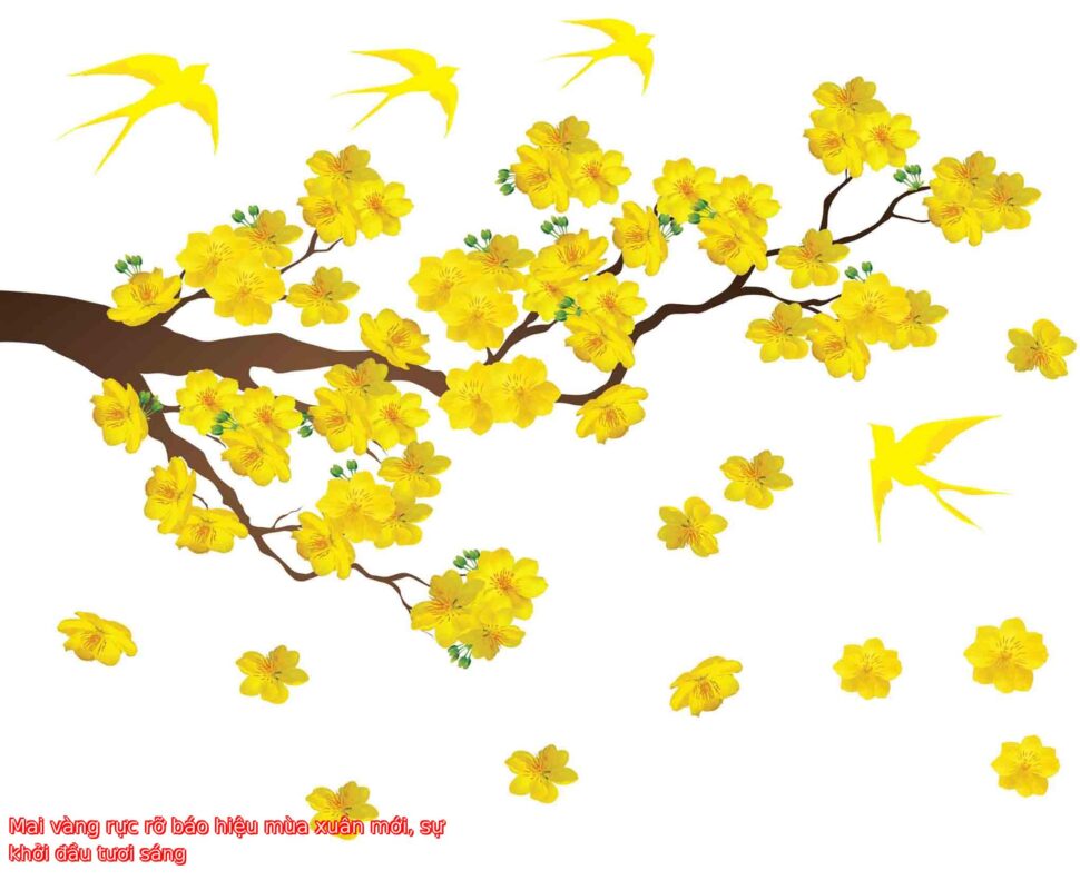 Mai vàng rực rỡ báo hiệu mùa xuân mới, sự khởi đầu tươi sáng