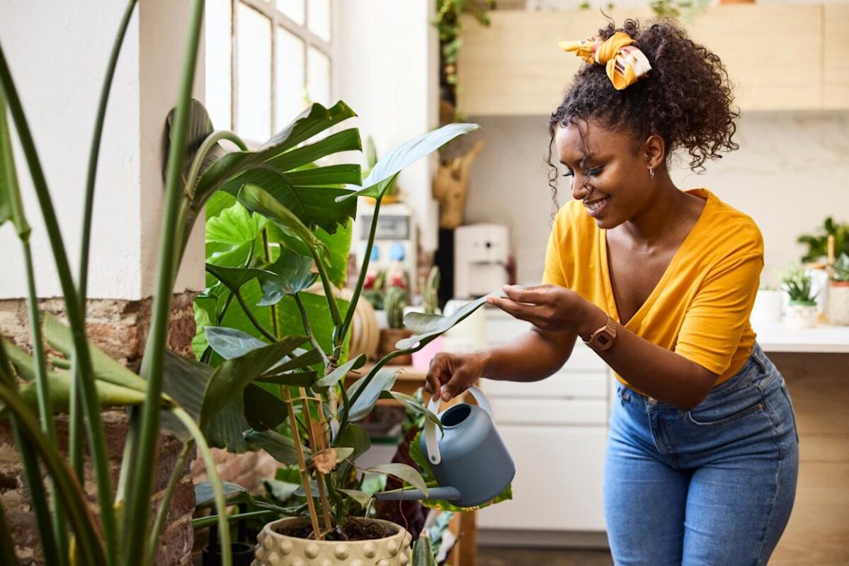 **Sinh viên Spelman phát triển PlantGPT, hệ thống AI cho phép giao tiếp bằng lời nói với cây**